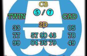 prediksi china 29 desember 2024
